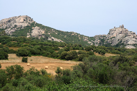 D300_47290.jpg