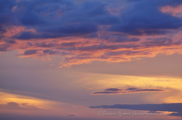 D300_58055
