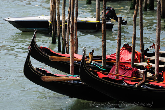 D300_45490.jpg