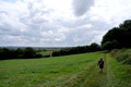 D300_99792