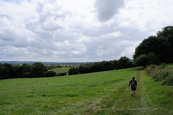 D300_99792