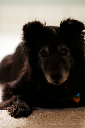 D70_21644.jpg