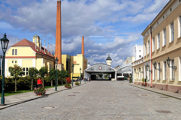 D300_75542