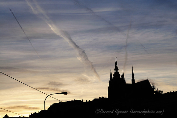 D300_74217