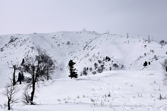 D300_69339