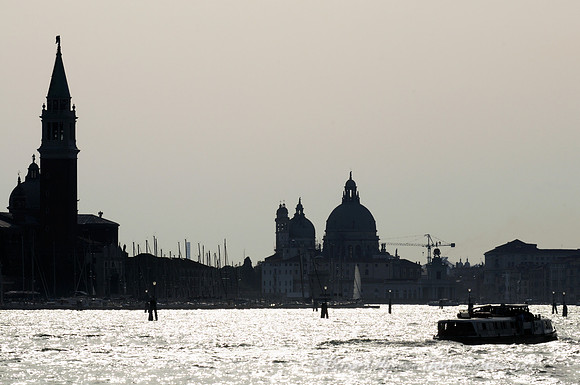 D300_44919.jpg