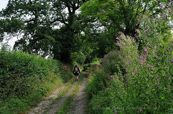 D300_99145