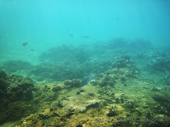 SD800_57963