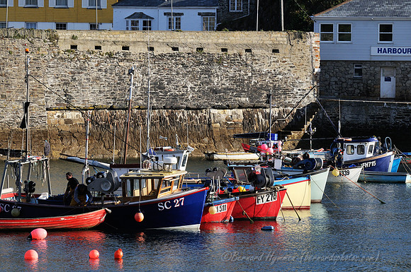 D300_100461