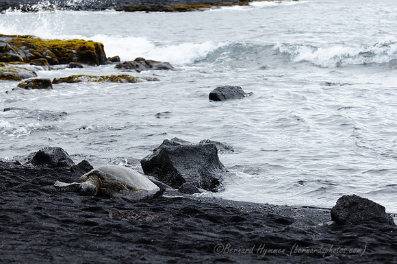 D300_92380
