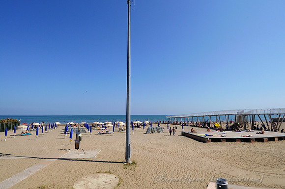 D300_45600.jpg