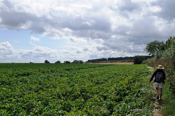 D300_99605