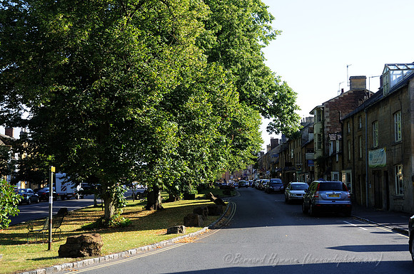 D300_99711