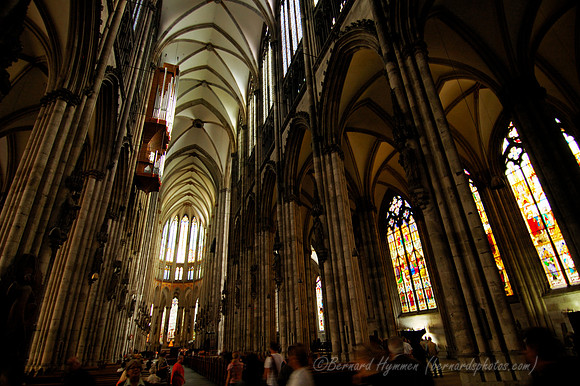 D70_17554