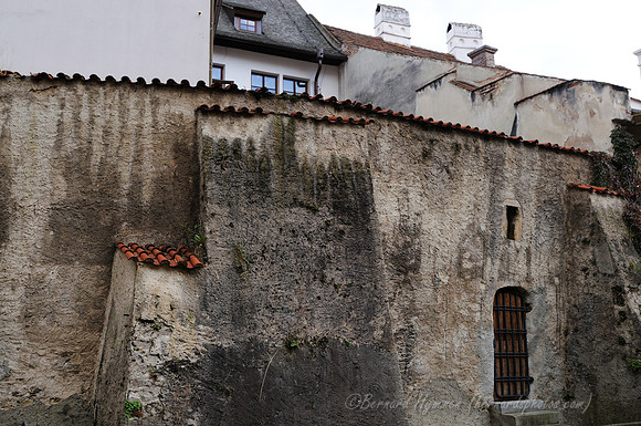 D300_74086