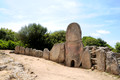 D300_47265.jpg
