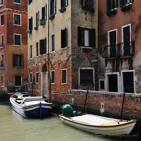 D300_45139.jpg