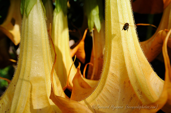 D300_92511