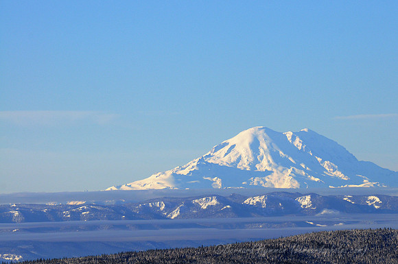D300_59647