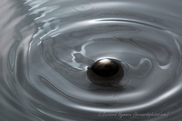 D70_20546