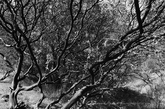 D300_32025