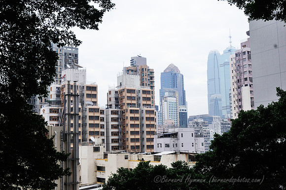 D300_70930