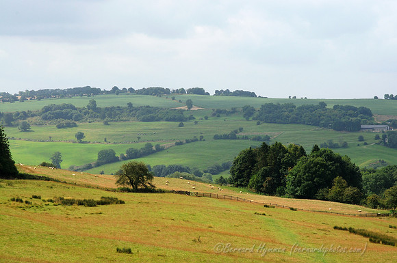 D300_99195
