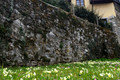 D300_84232