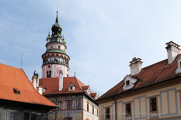 D300_74050