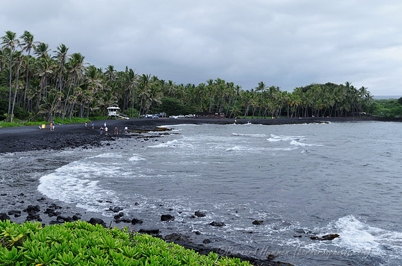 D300_92364