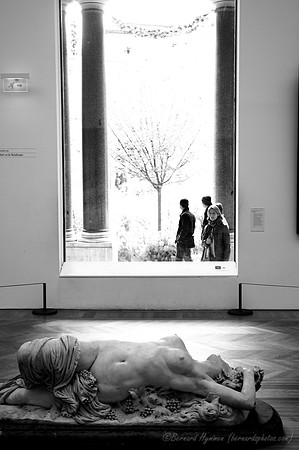 D300_86036