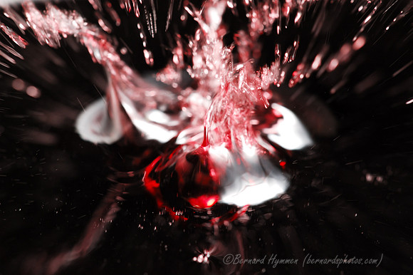 D70_20735