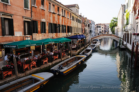 D300_44970.jpg