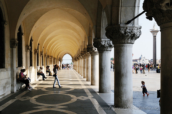 D300_45253.jpg