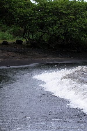 D300_92451