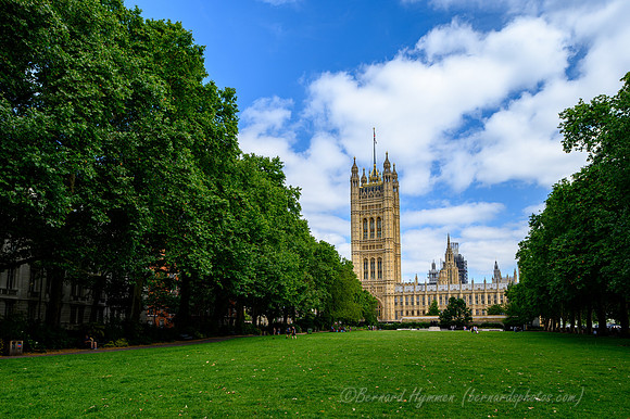 Z6_156649