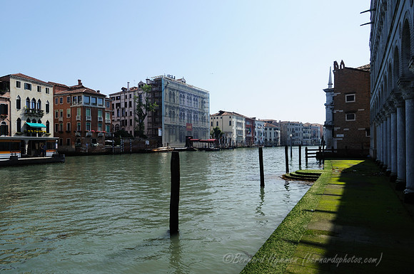 D300_44702.jpg