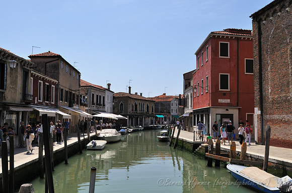 D300_44827.jpg