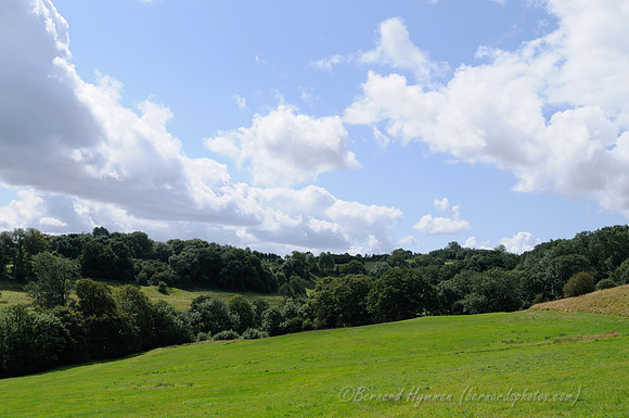 D300_99653
