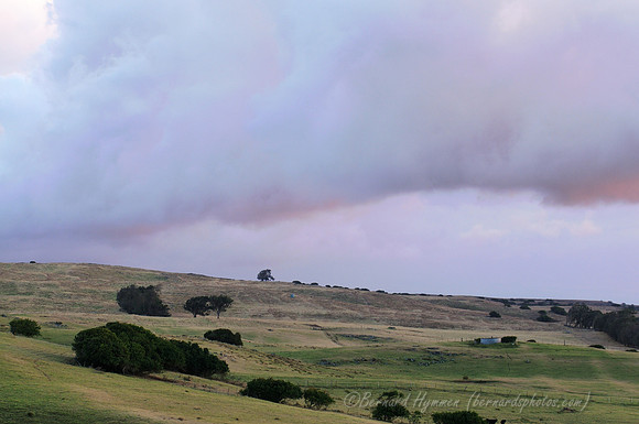 D300_92224