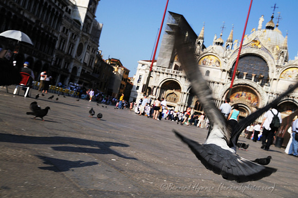 D300_45245.jpg