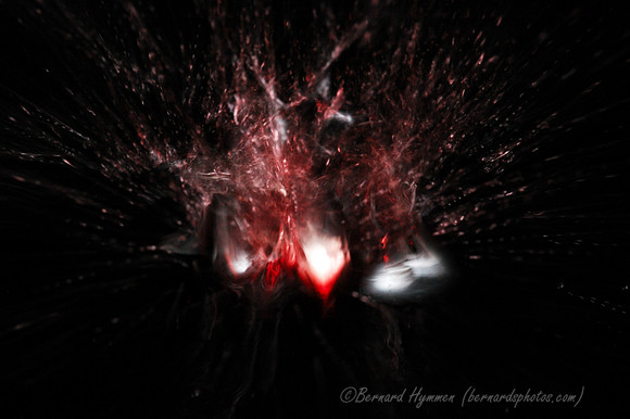 D70_20729