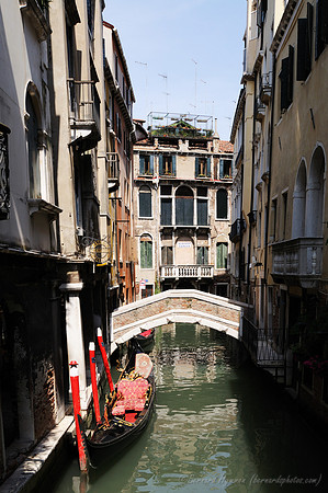 D300_44503.jpg
