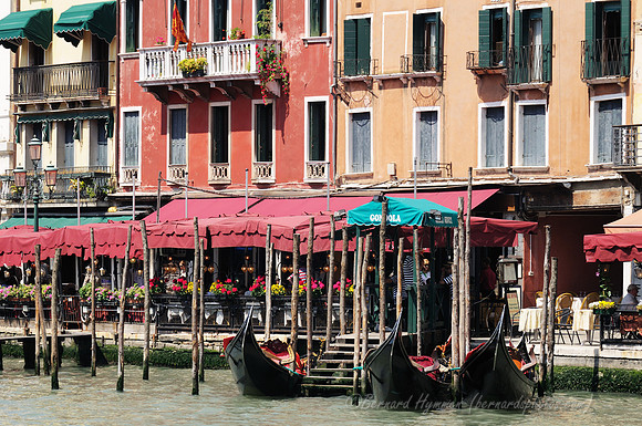 D300_45500.jpg