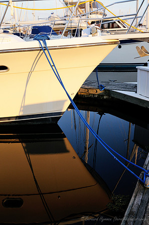 D300_72463