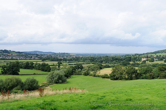 D300_99099