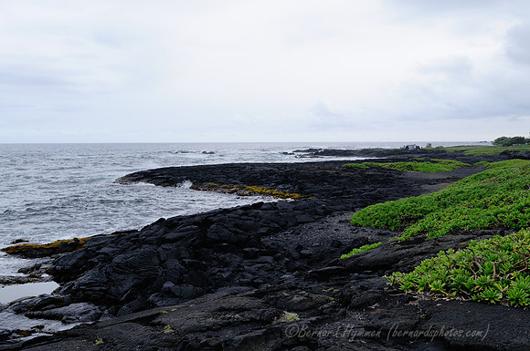 D300_92363