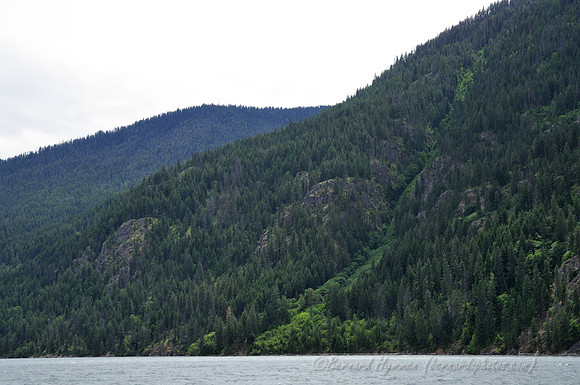 D300_72146