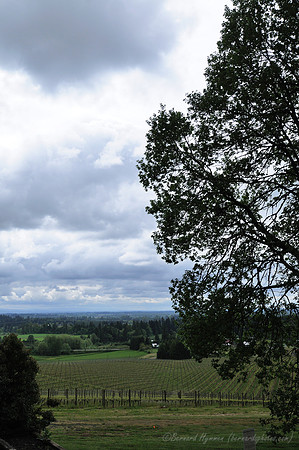 D300_63572