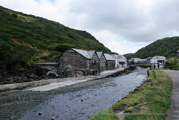 D300_100813